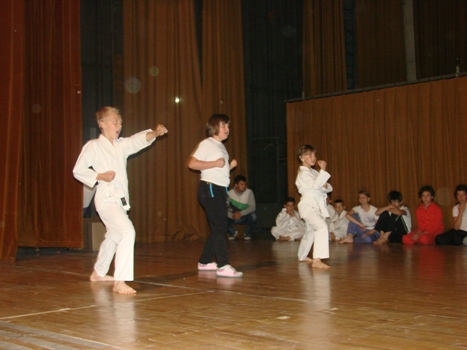 karate214buca